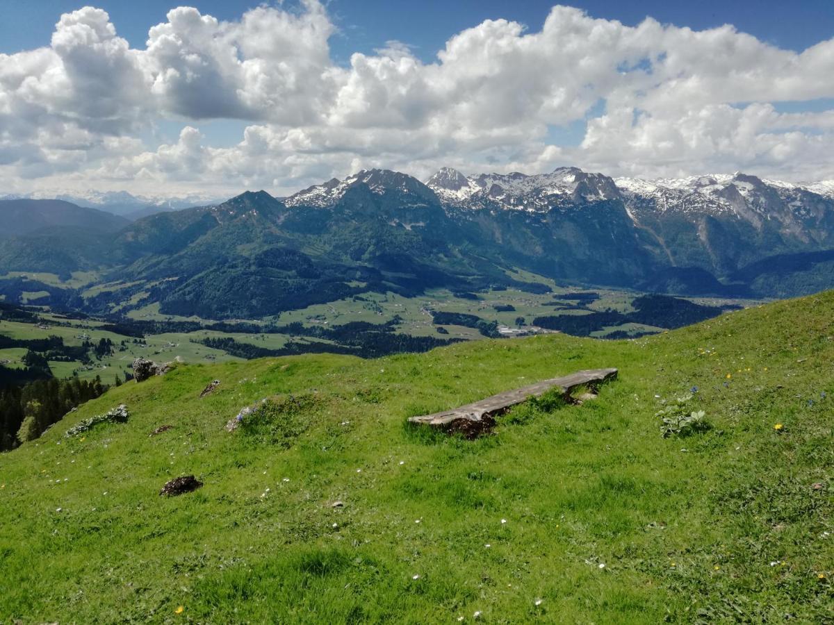 Lammerauhof Abtenau Zewnętrze zdjęcie